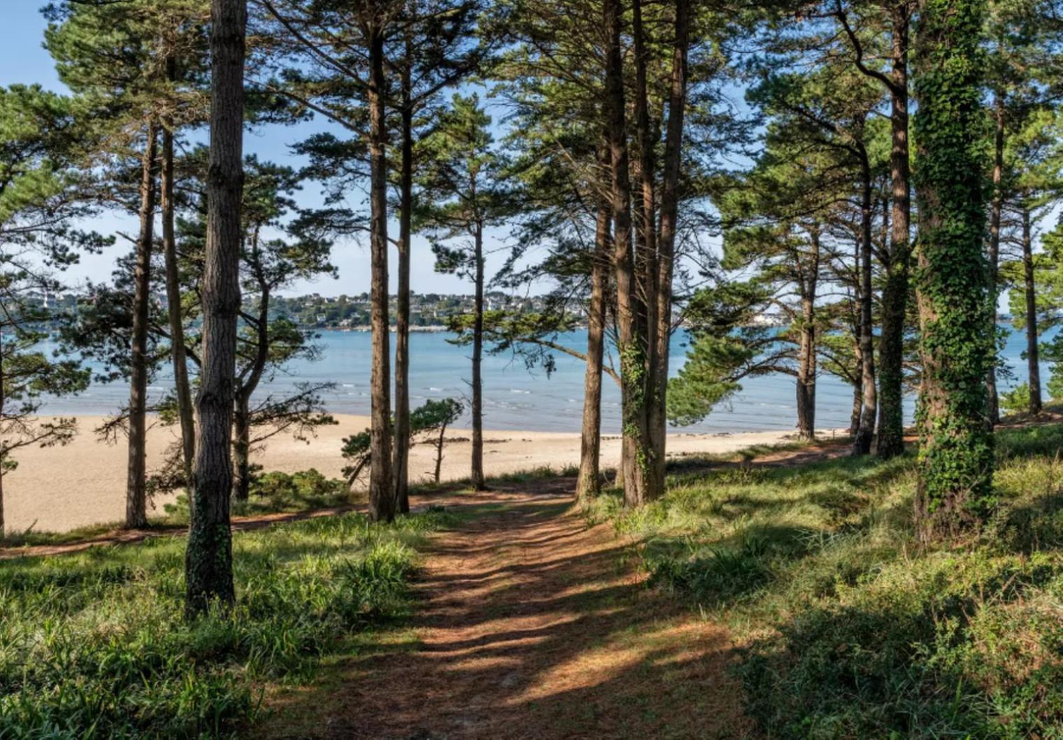 Residence Route De La Corniche Vue Mer Plestin les Greves Bagian luar foto